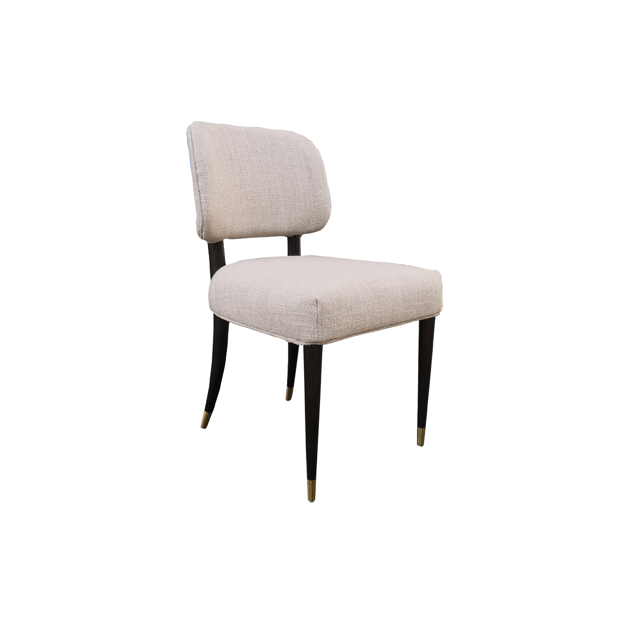 Vadodara Dining Chair, Set of 2