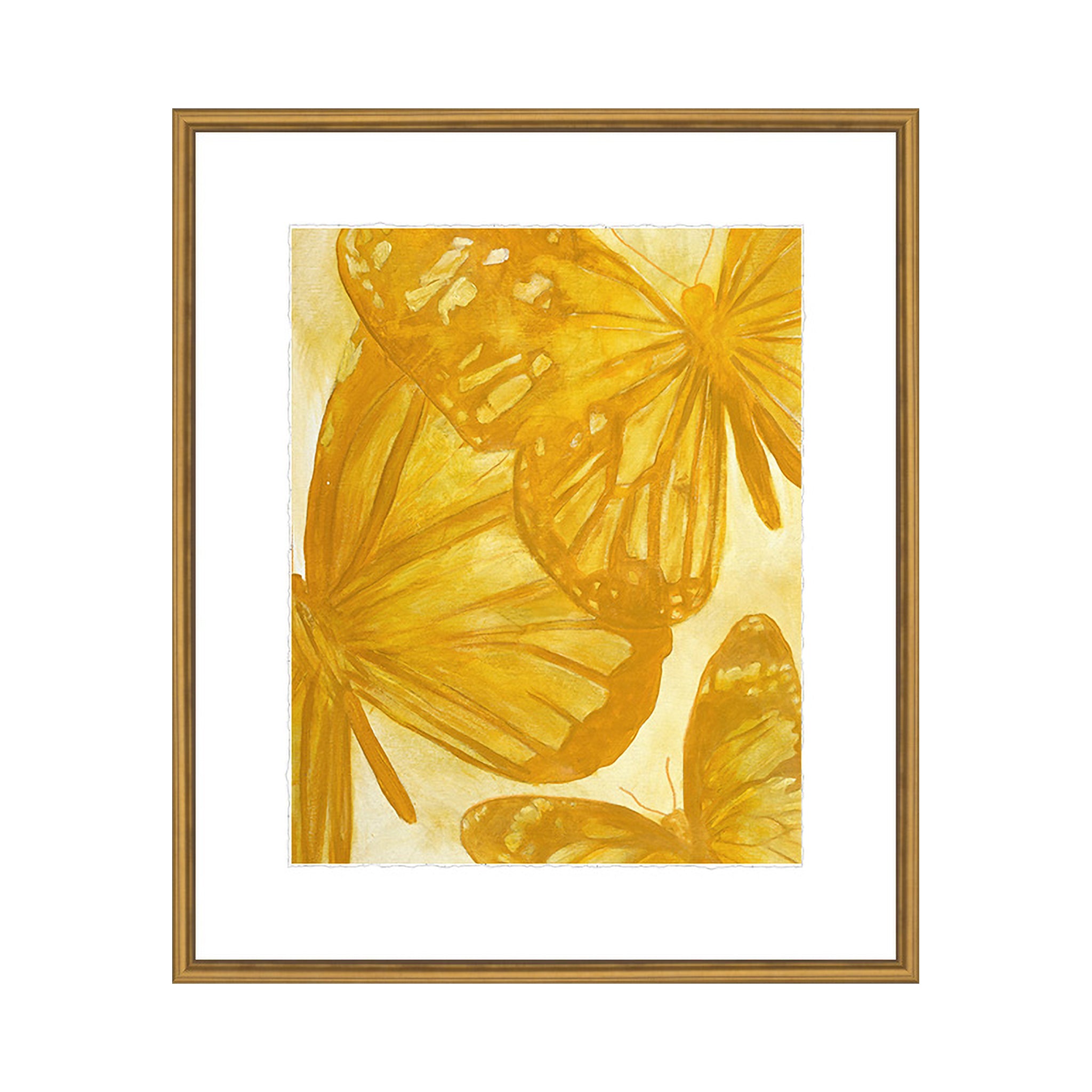 Amber Monarchs