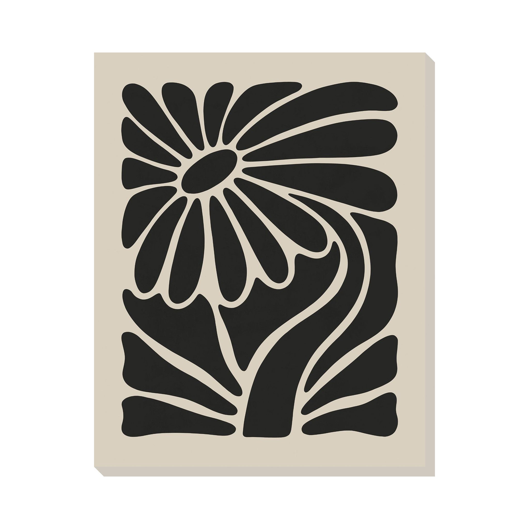 Avila Bloom