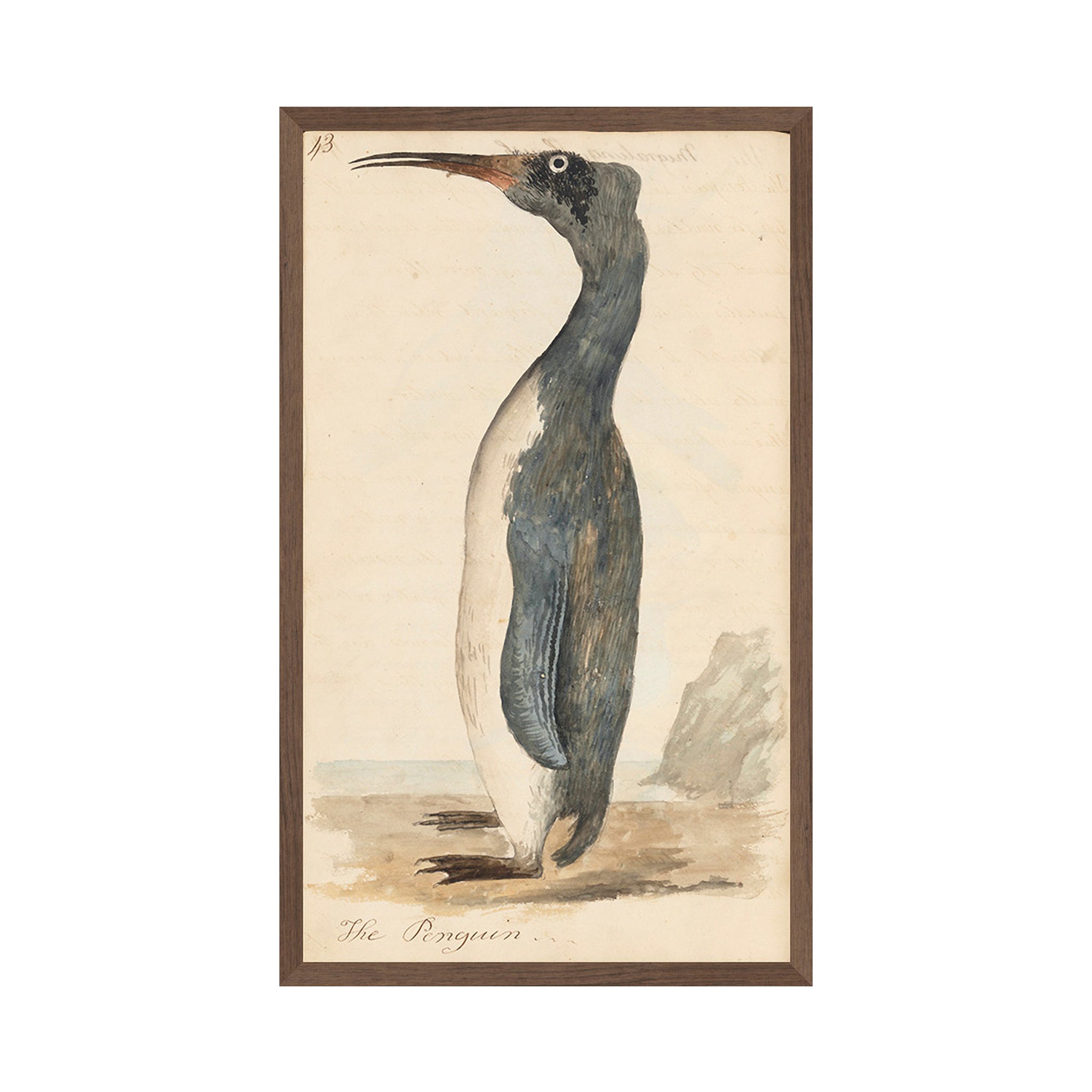 Durham Penguin