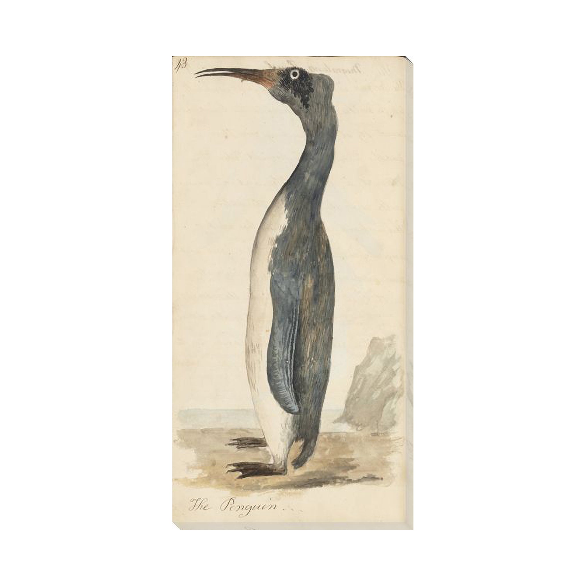 Durham Penguin