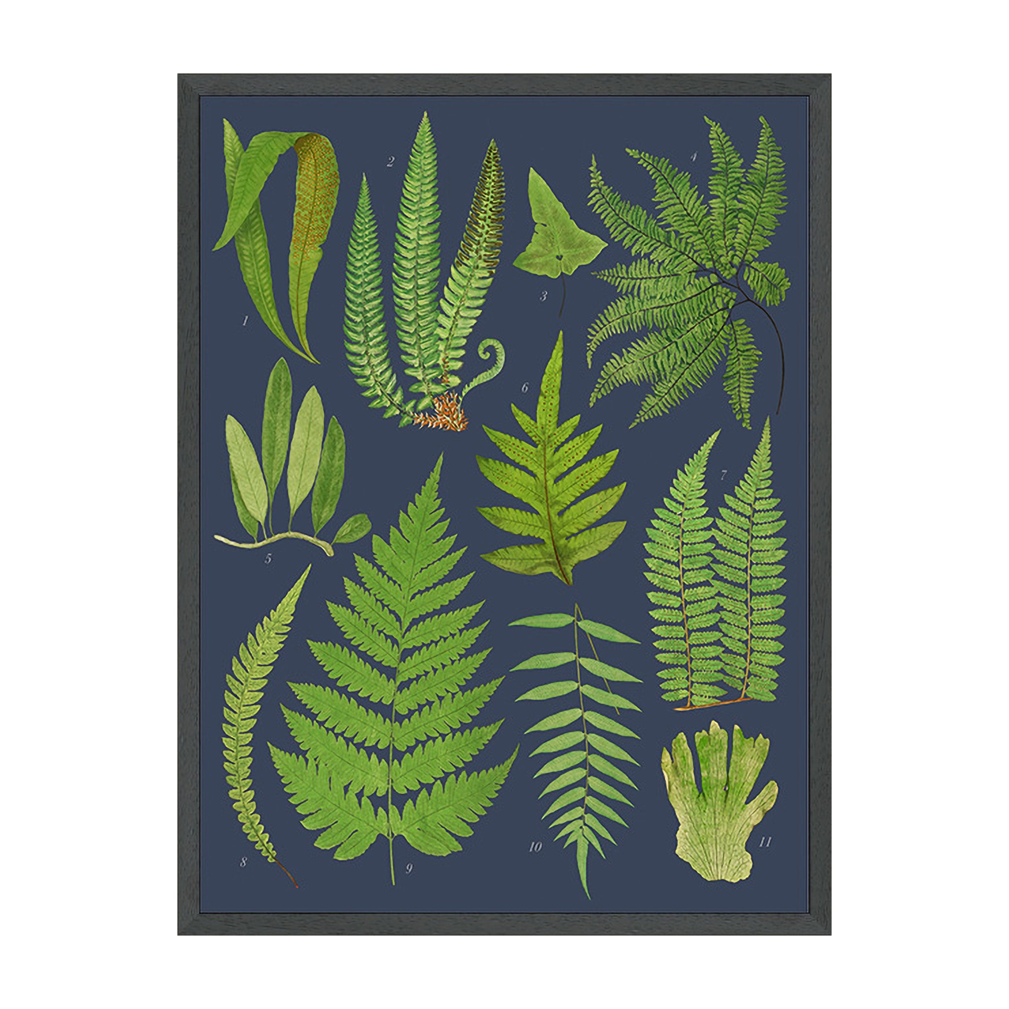 Everdale Flora