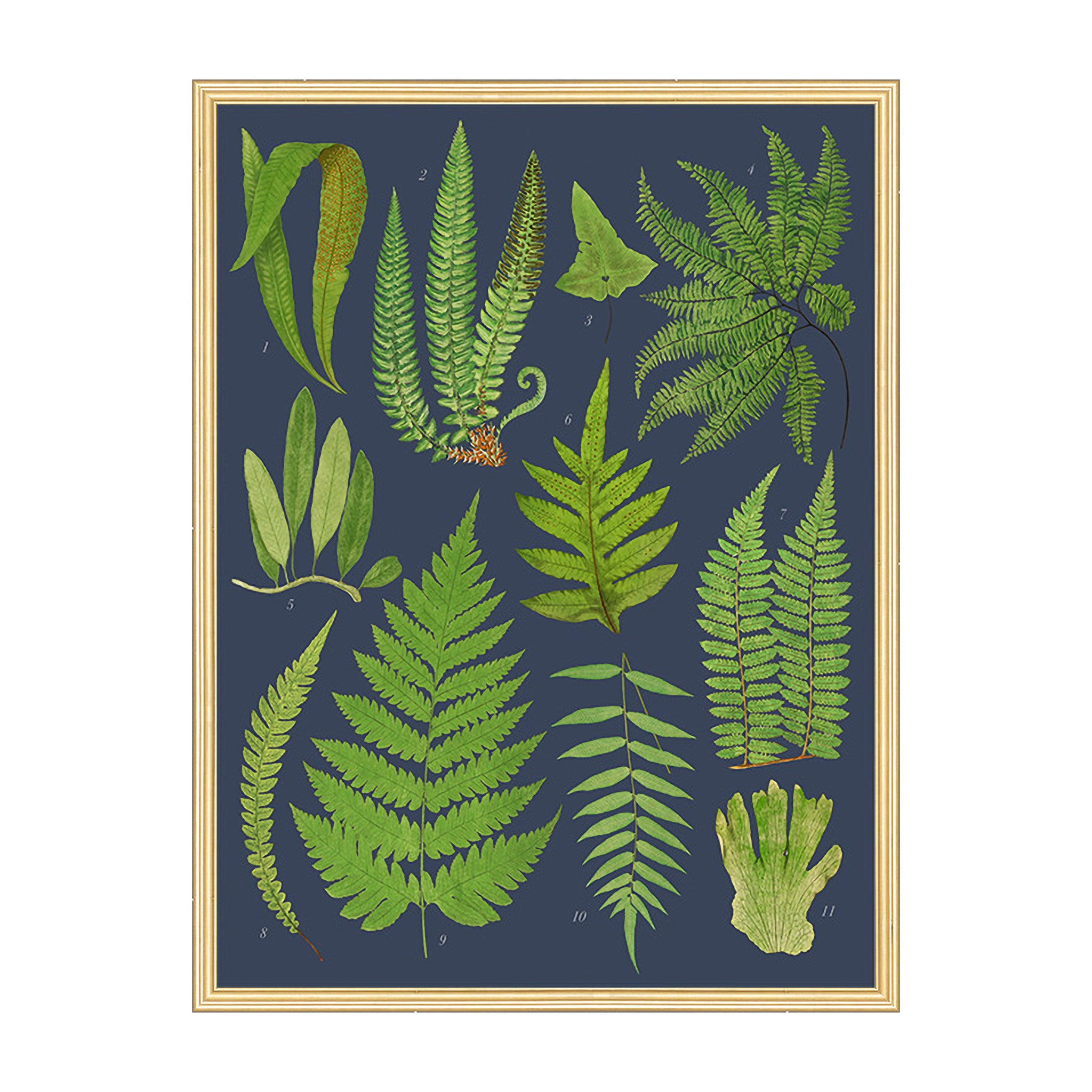 Everdale Flora
