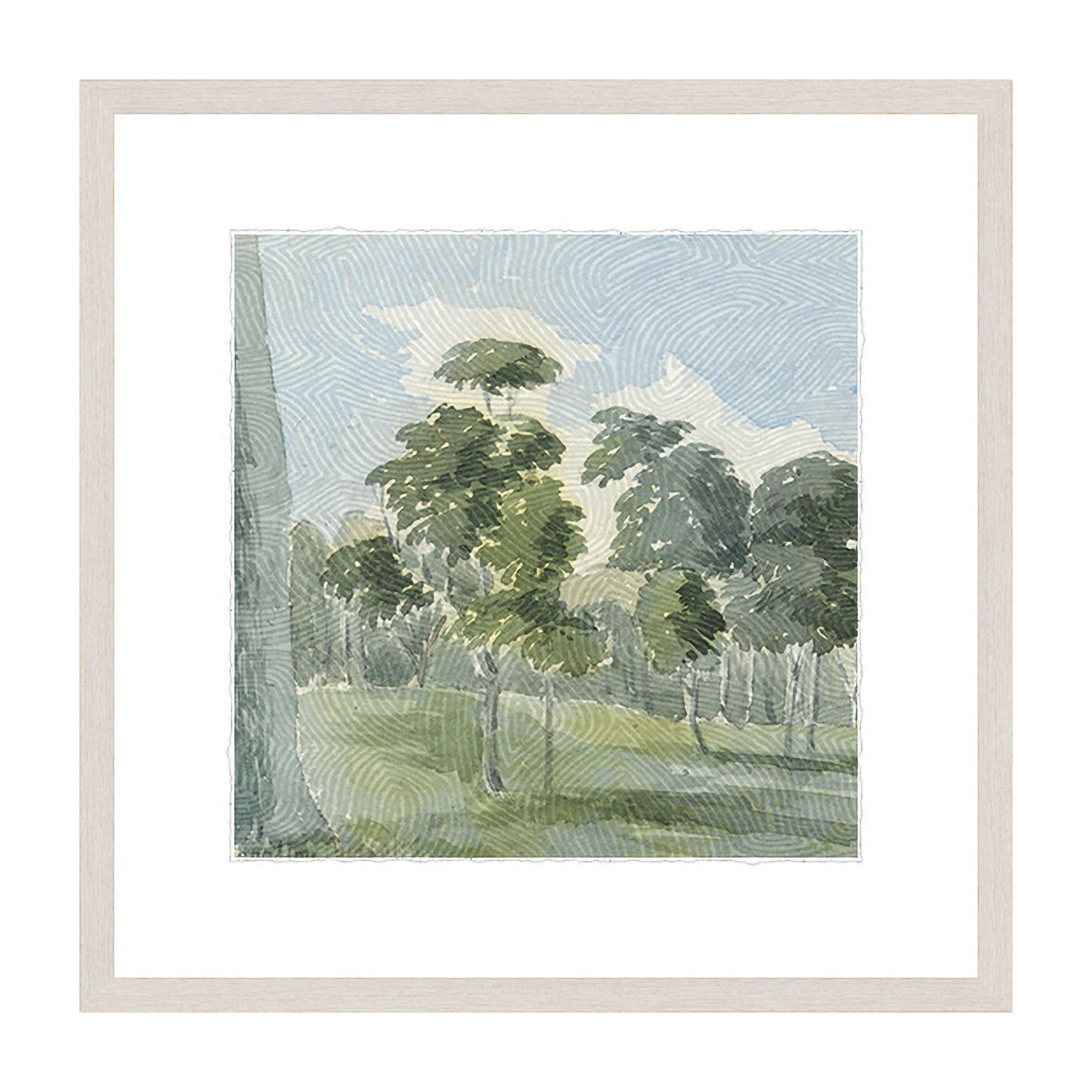 Tranquil Canopy