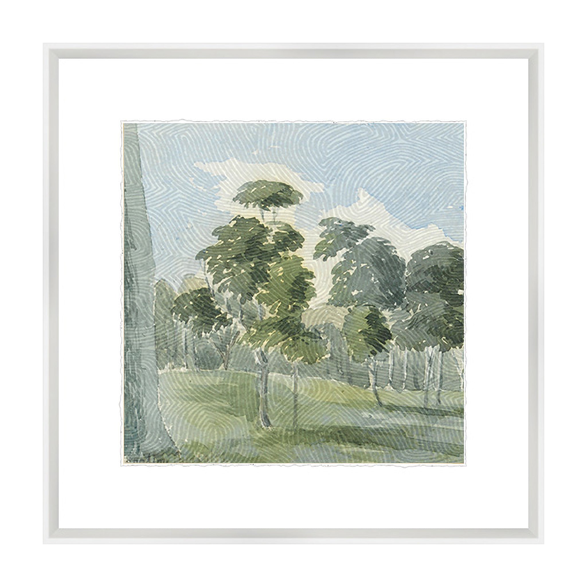 Tranquil Canopy