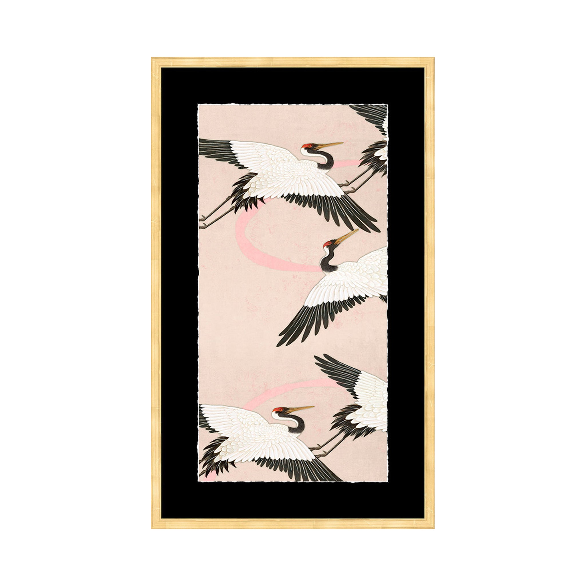 Nagoya Cranes