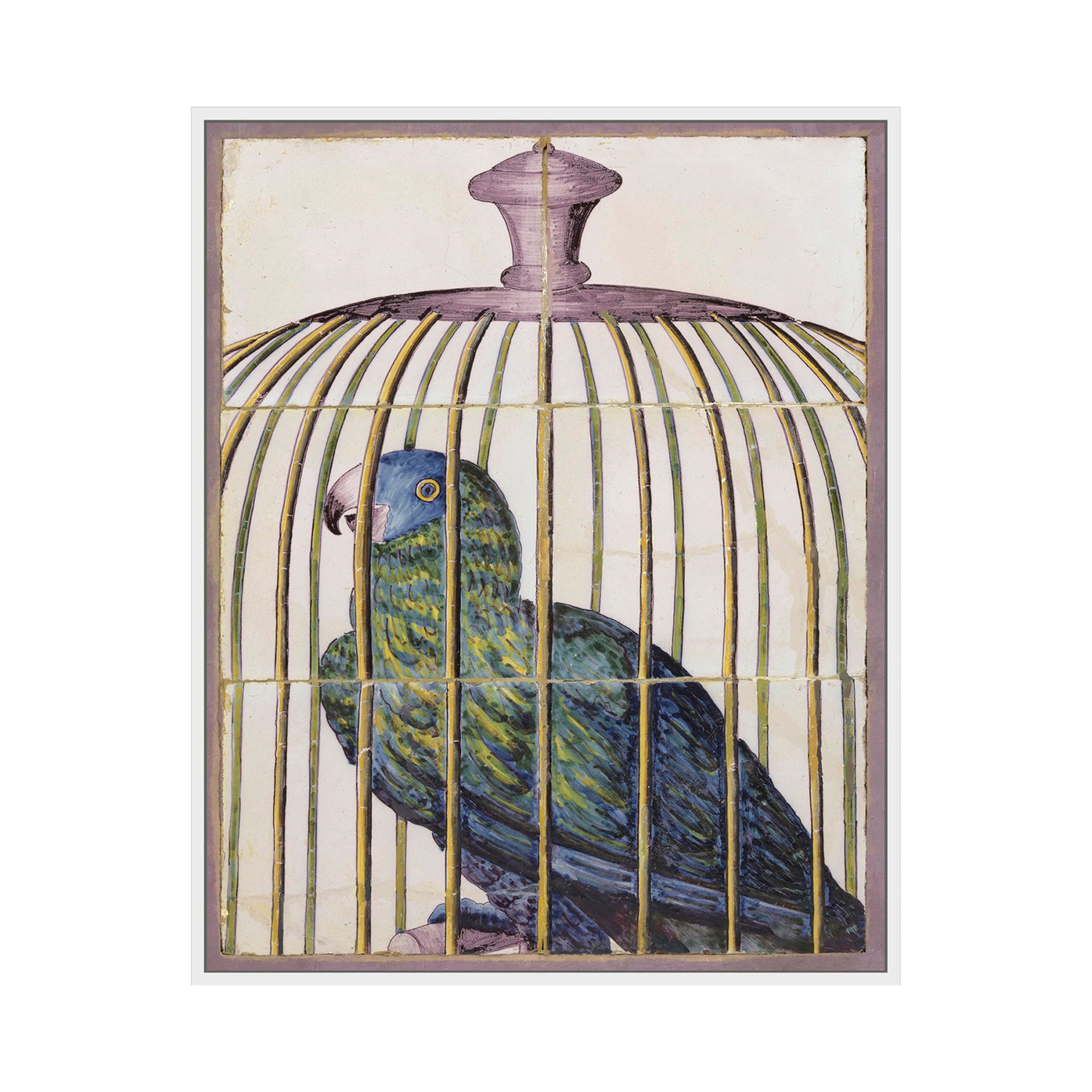 Siena Parrot