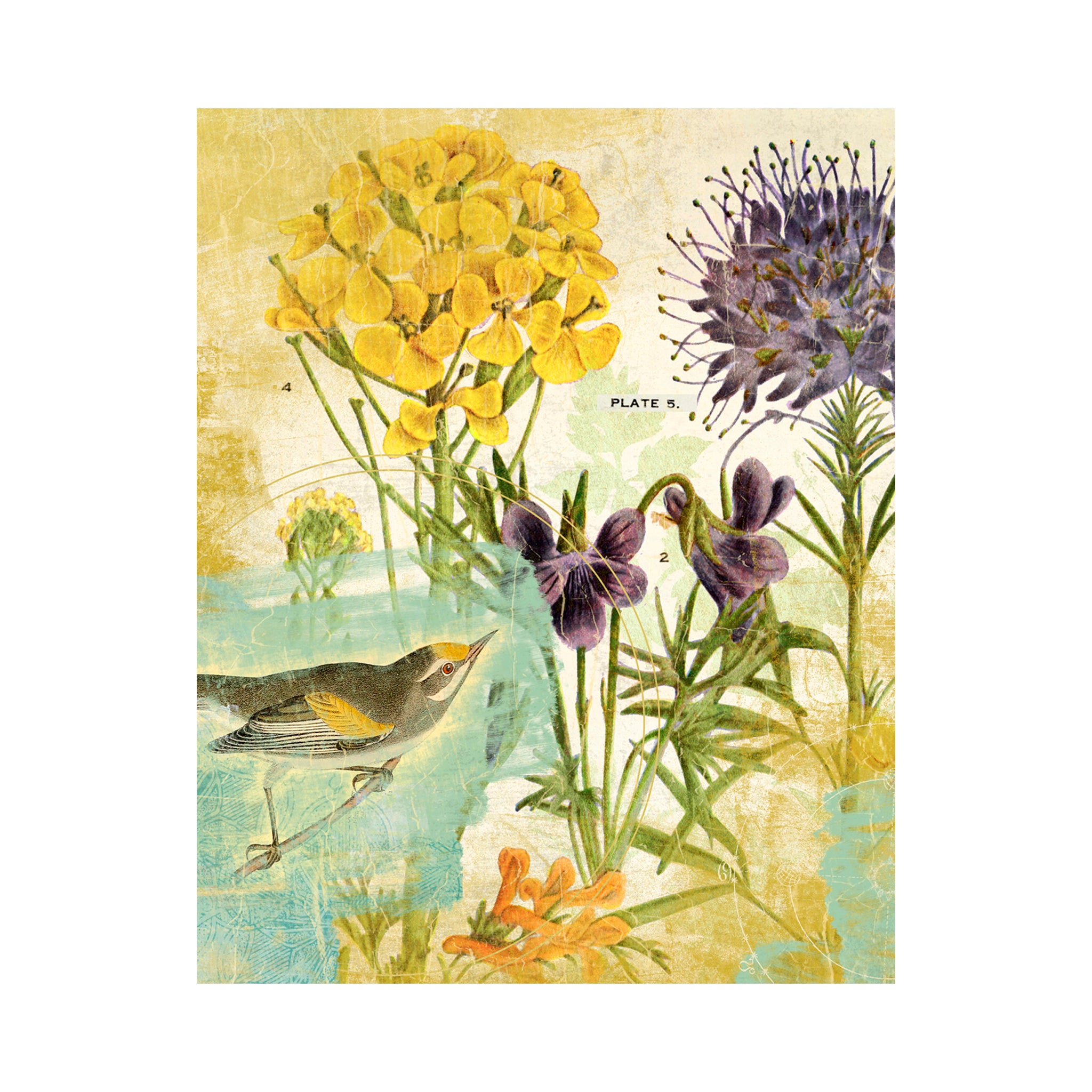 Venetian Meadow